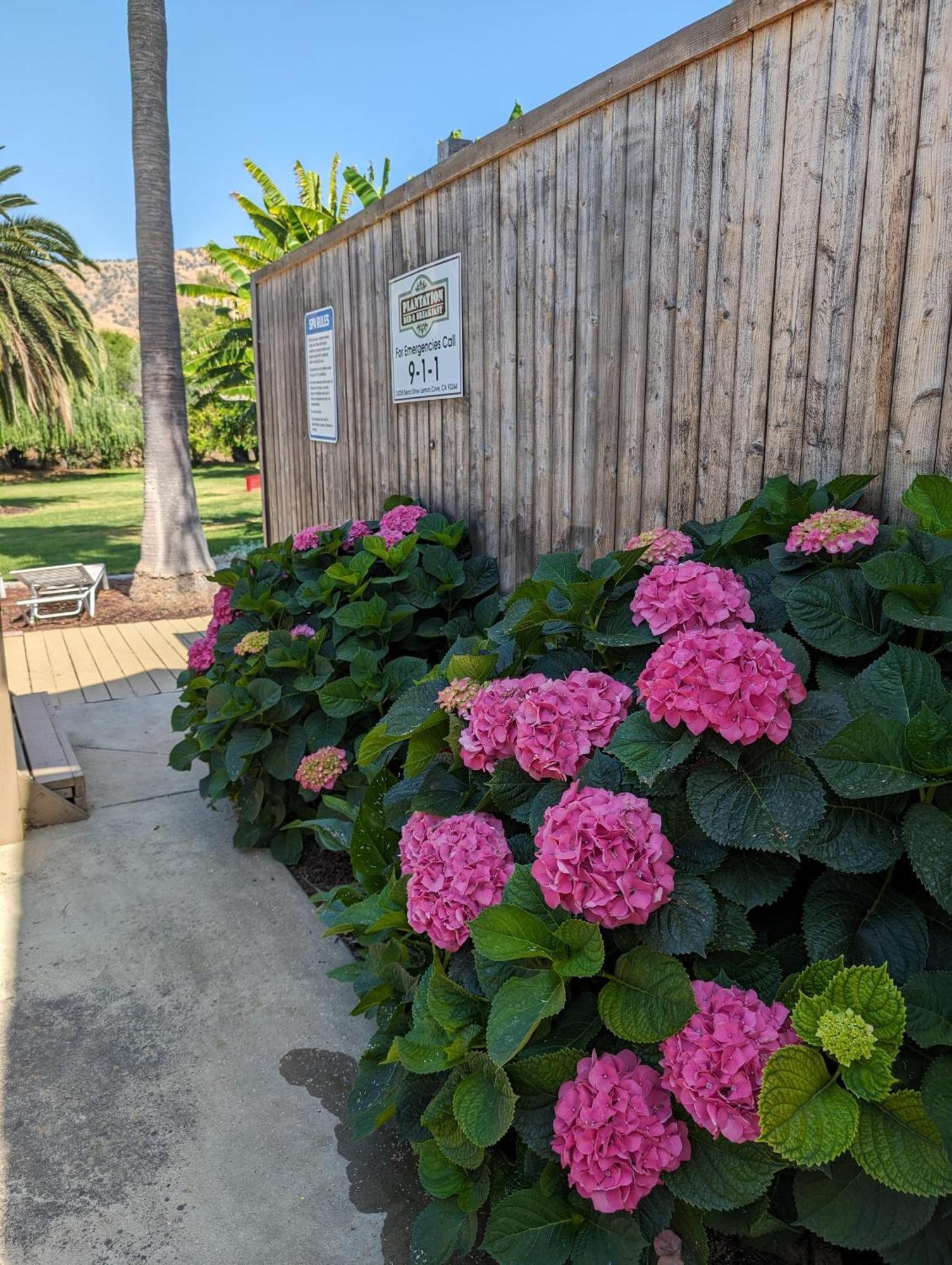 The Parks Inn Lemon Cove Exterior photo